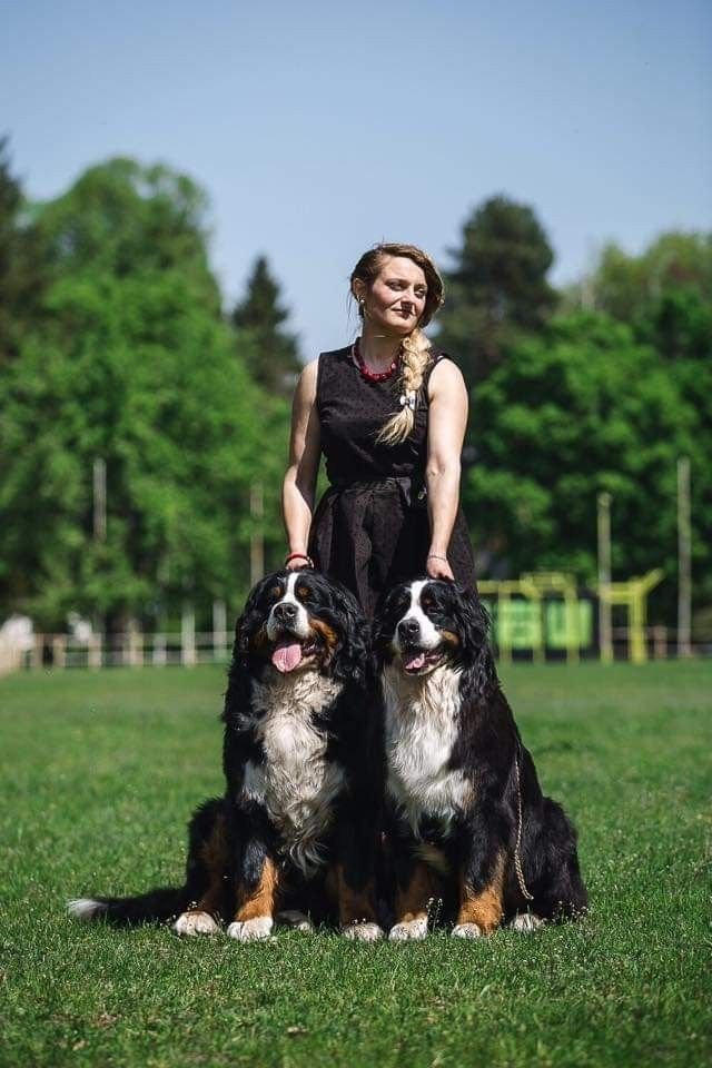 Matthew Scott with their Bernese Mountain Dog