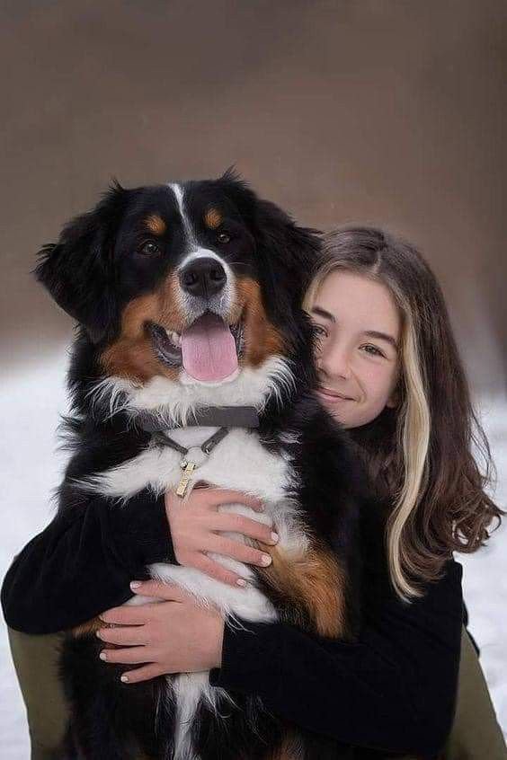 Sophia Adams with their Bernese Mountain Dog