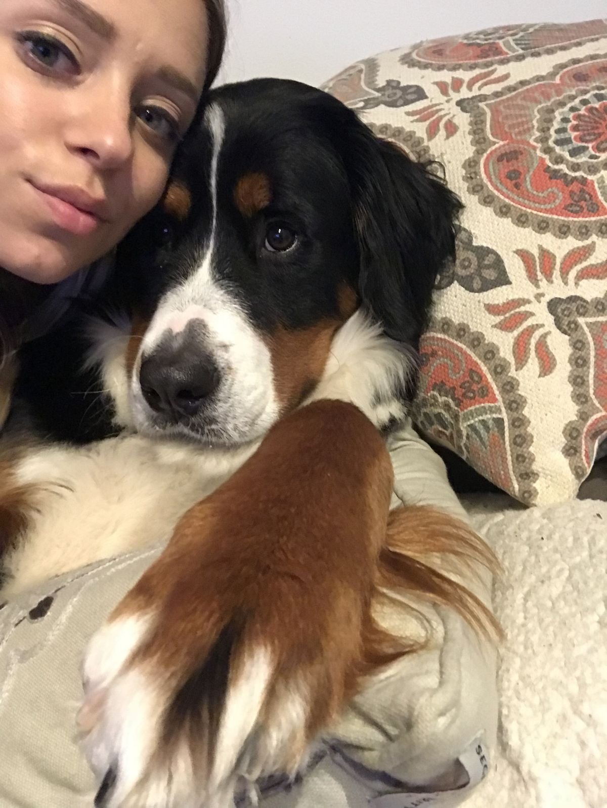 Benjamin Clark with their Bernese Mountain Dog