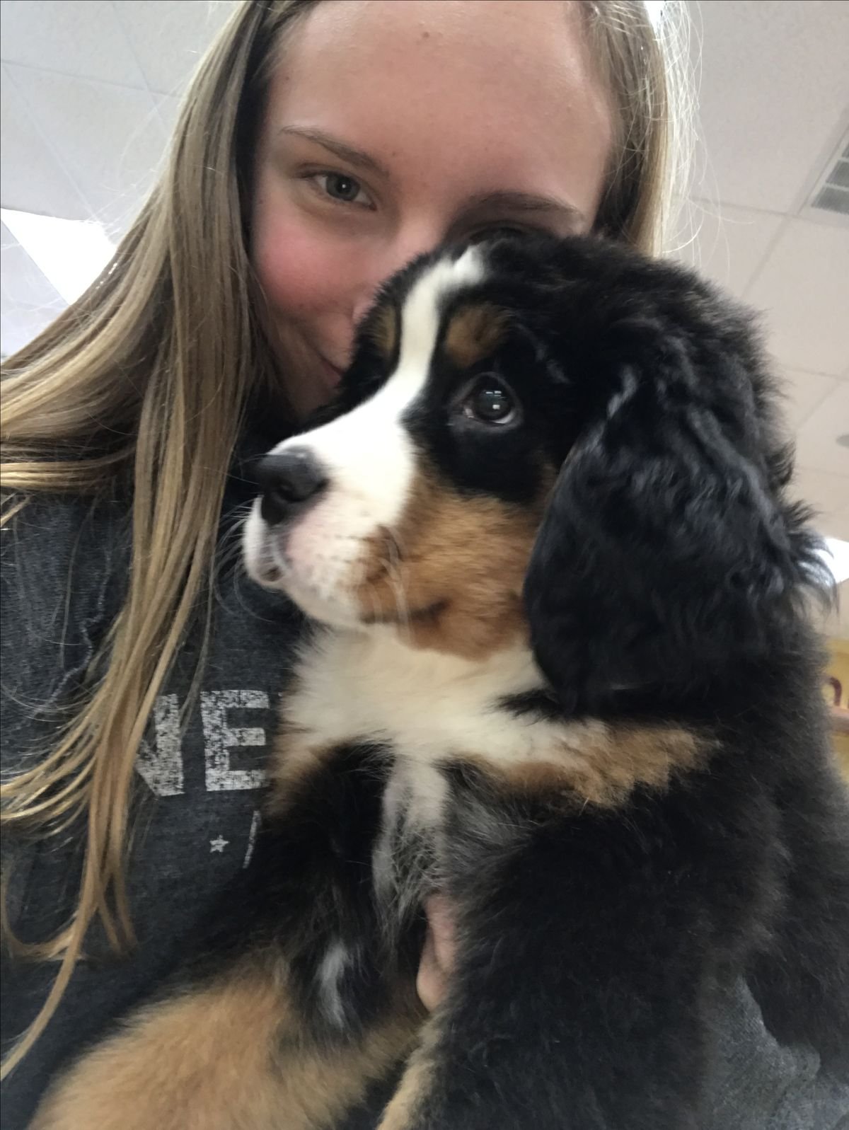 Emma Foster with their Bernese Mountain Dog