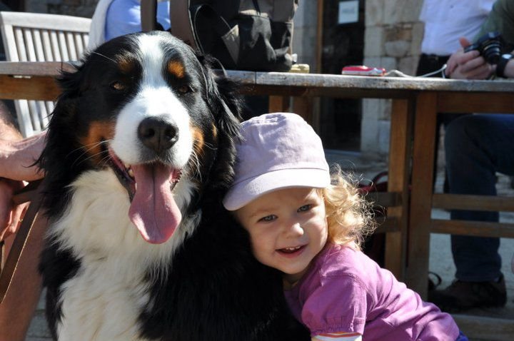 The Wilson Family with their Bernese Mountain Dog