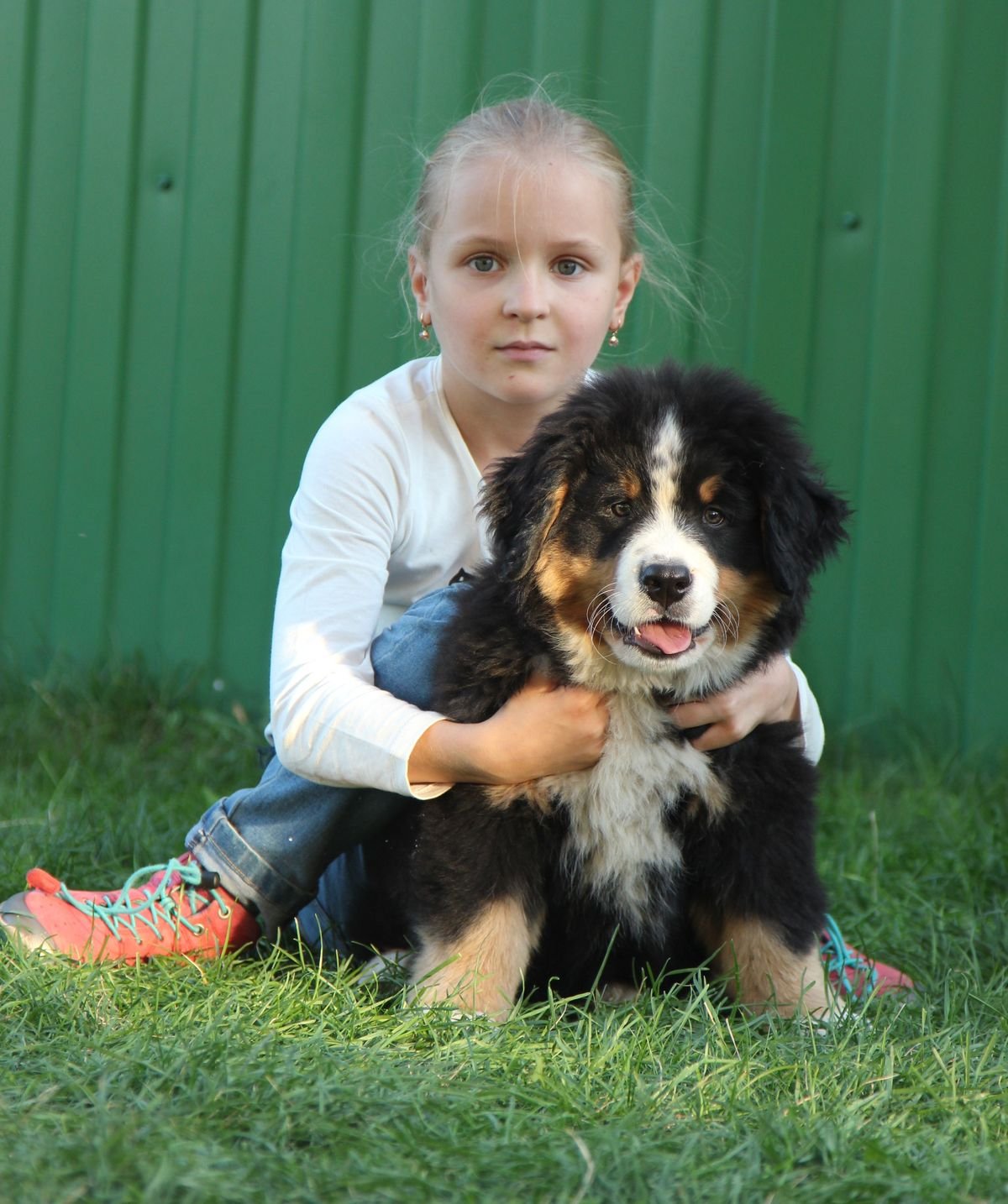 The Anderson Family with their Bernese Mountain Dog