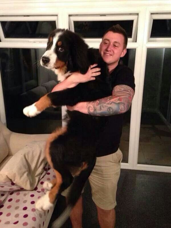 Taylor Brooks with their Bernese Mountain Dog