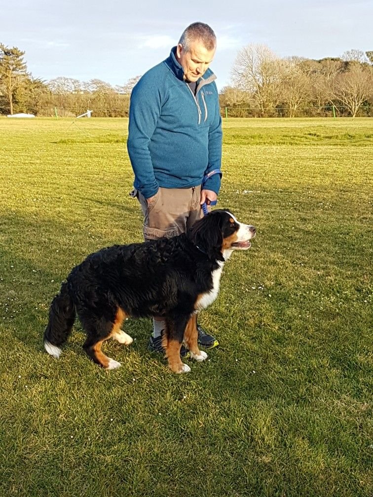 Michael Turner with their Bernese Mountain Dog