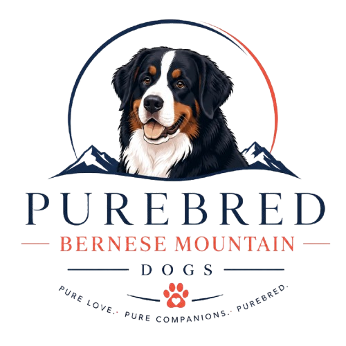 Monique's Bernese Mountain Dogs